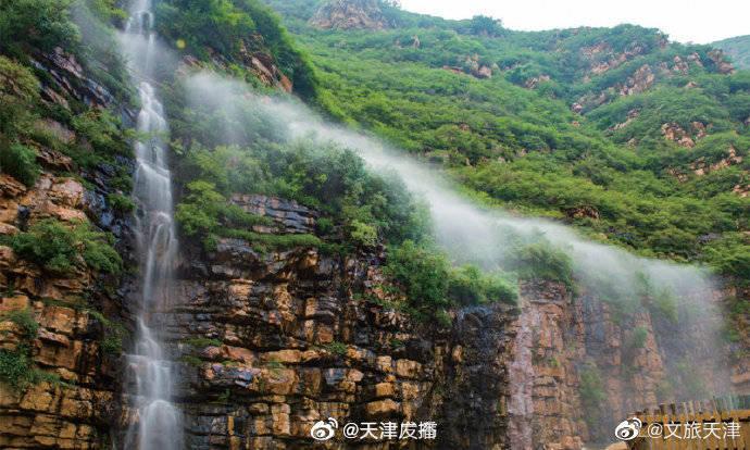 发现惊人冷知识!| 臭氧能杀死螨虫吗? 冷知识分享平台